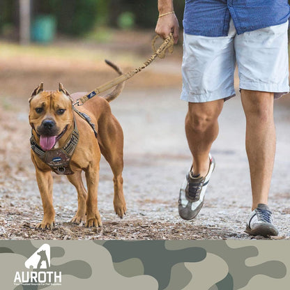 Heavy Duty Bungee Dog Leash for Medium Large Breed Dogs, No Pull for Shock Absorption with Car Seat Belt, 2 Padded Handles 4.5FT 6FT Training Dog Leash